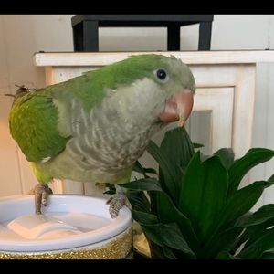 Meet your Posher, Raquel